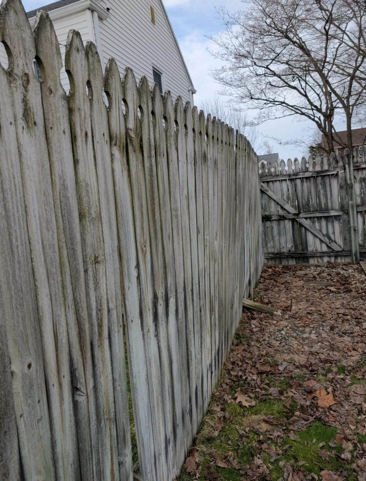 Before: old weathered wooden fence