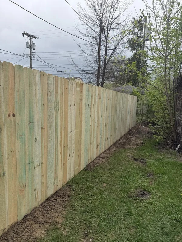 Fencing project